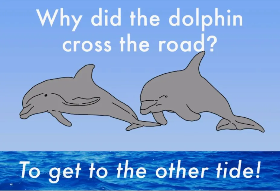 350+ Dolphin Jokes