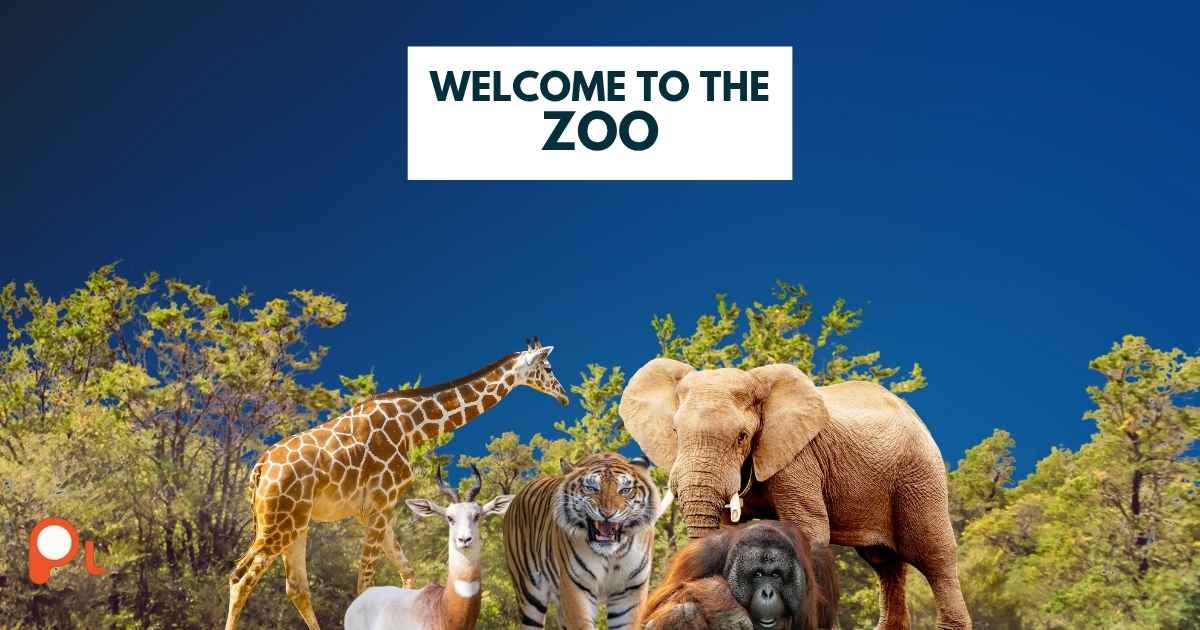 Zoo Puns