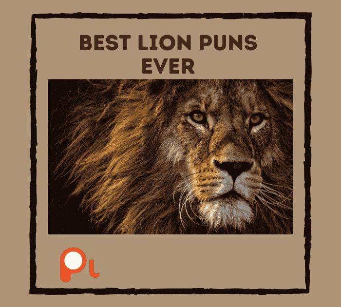 Best Lion Puns Ever