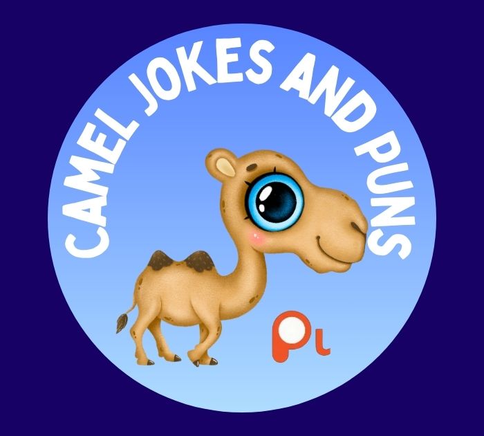 Camel Jokes and Puns