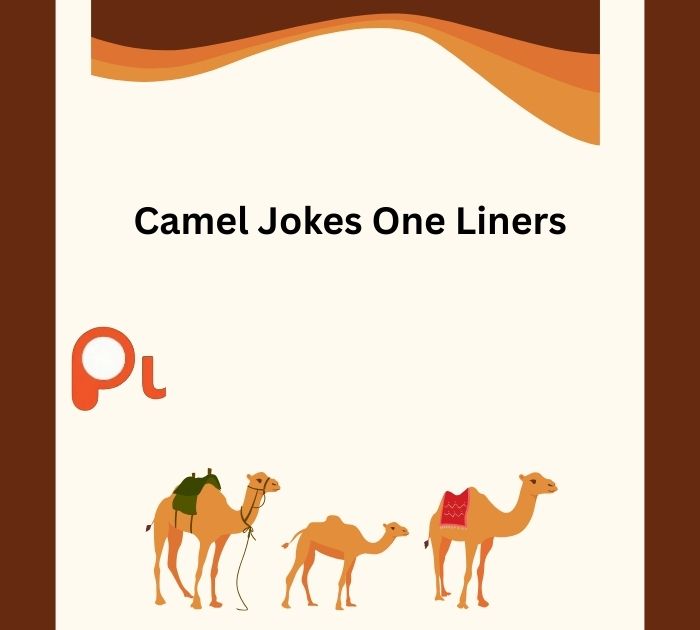 Camel Jokes One Liners