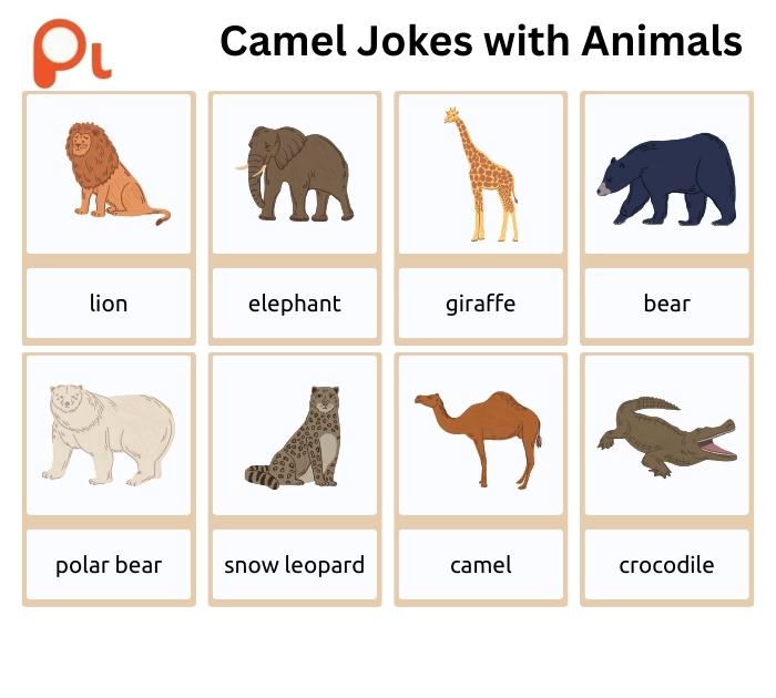 Camel Jokes with Animals