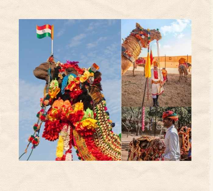 Creative Camel Pun Ideas