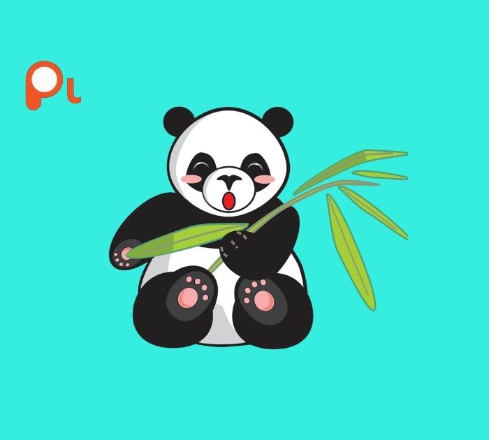 Cute Panda Puns for Smiles