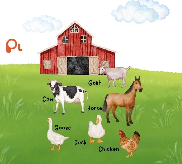 Farm Puns About Animals