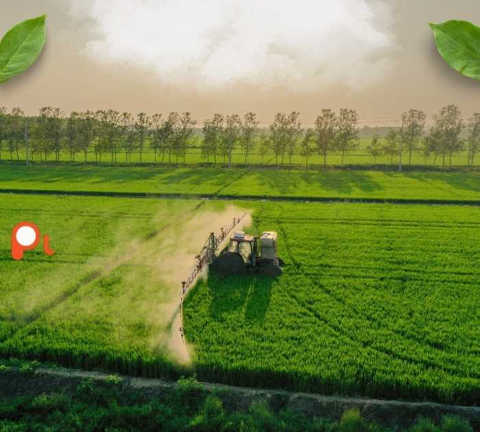 Farm Puns Perfect for Captions