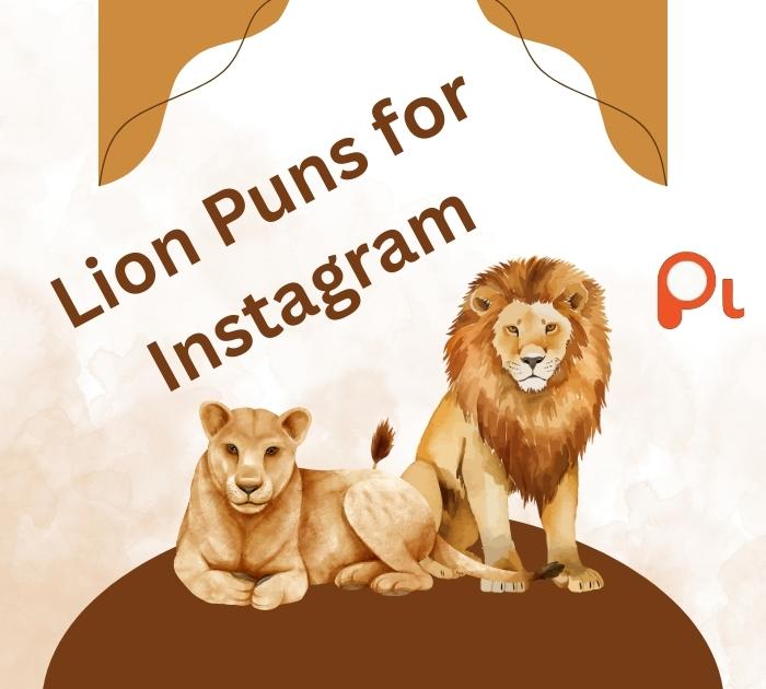 Lion Puns for Instagram