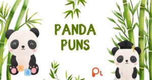 Panda Puns