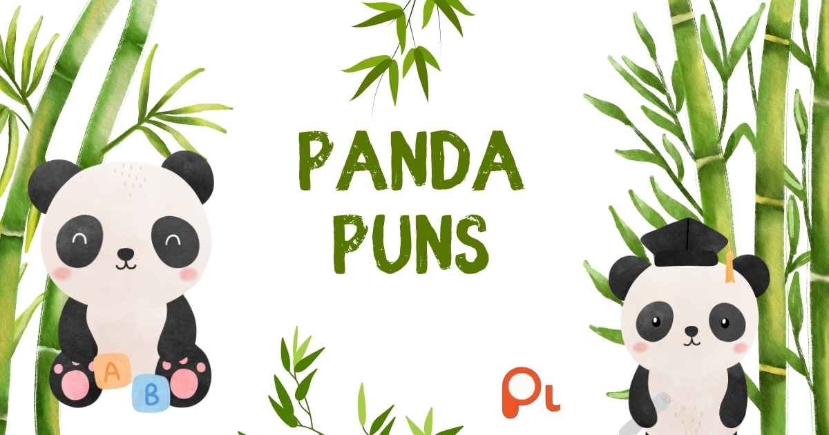 Panda Puns