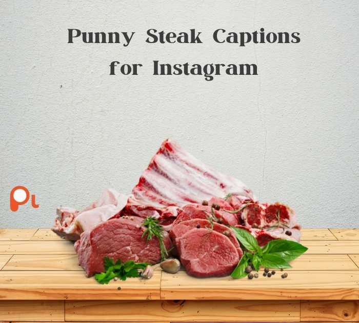 Punny Steak Captions for Instagram