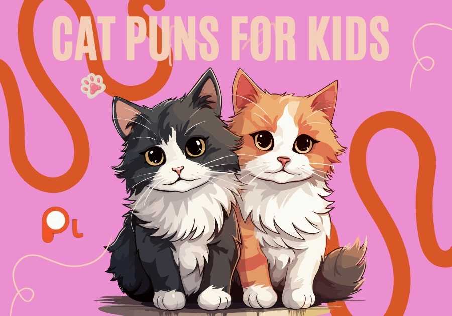 Cat Puns For Kids