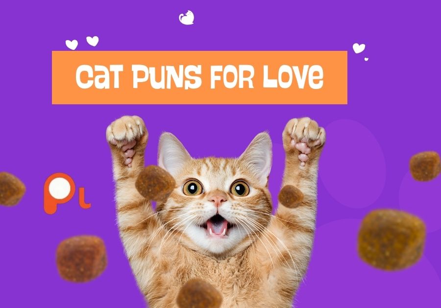 Cat Puns For Love
