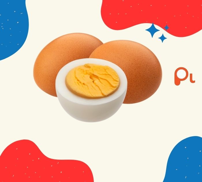Best Egg Puns Collection