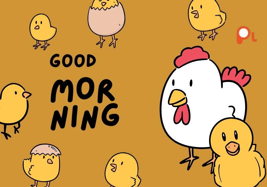 Chicken Egg Jokes Everyone Loves