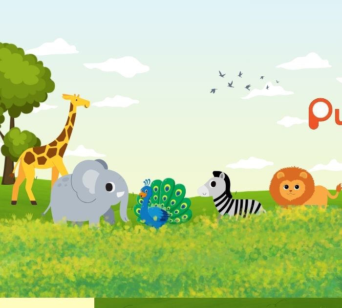 Clean Jokes with Animal Fun