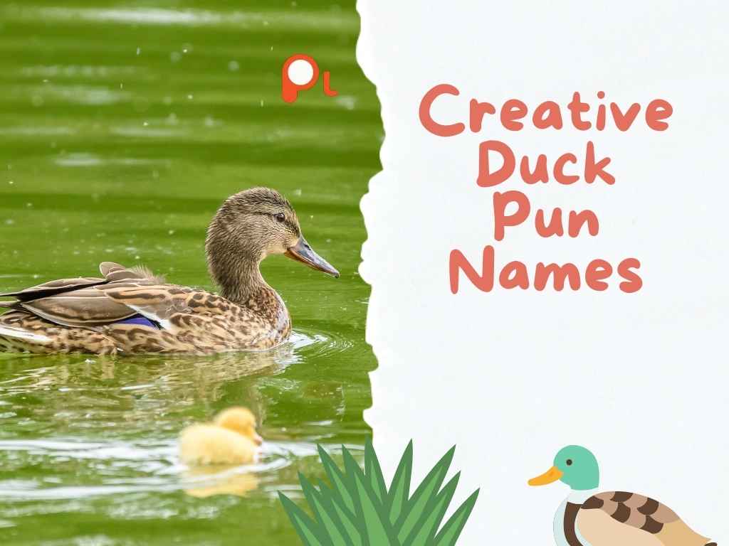 Creative Duck Pun Names