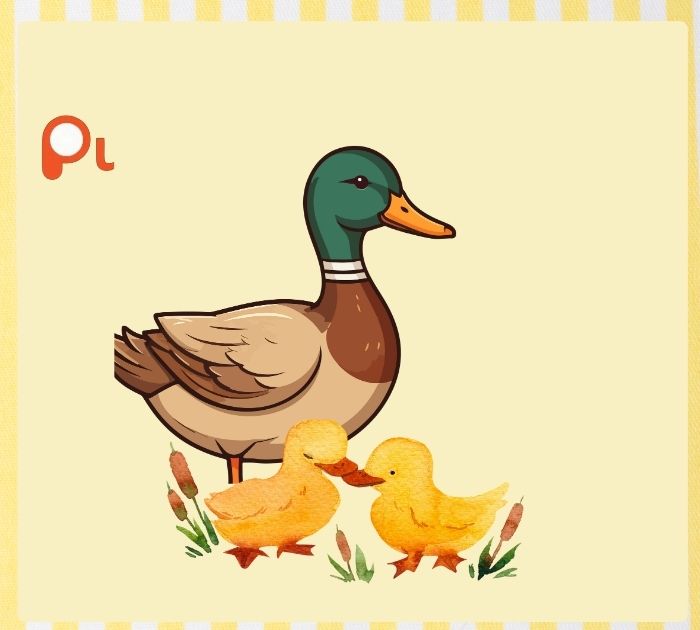 Cute Duck Puns for Love