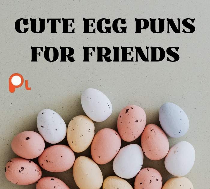Cute Egg Puns For Friends