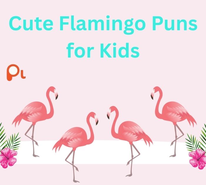 Cute Flamingo Puns for Kids
