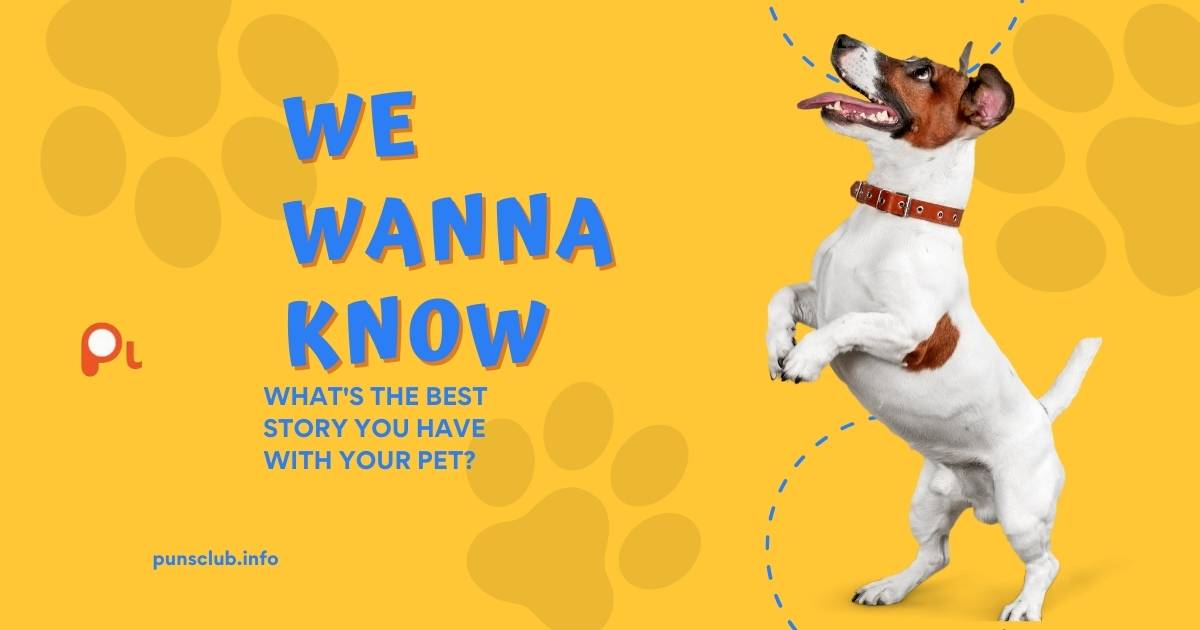 Dog puns