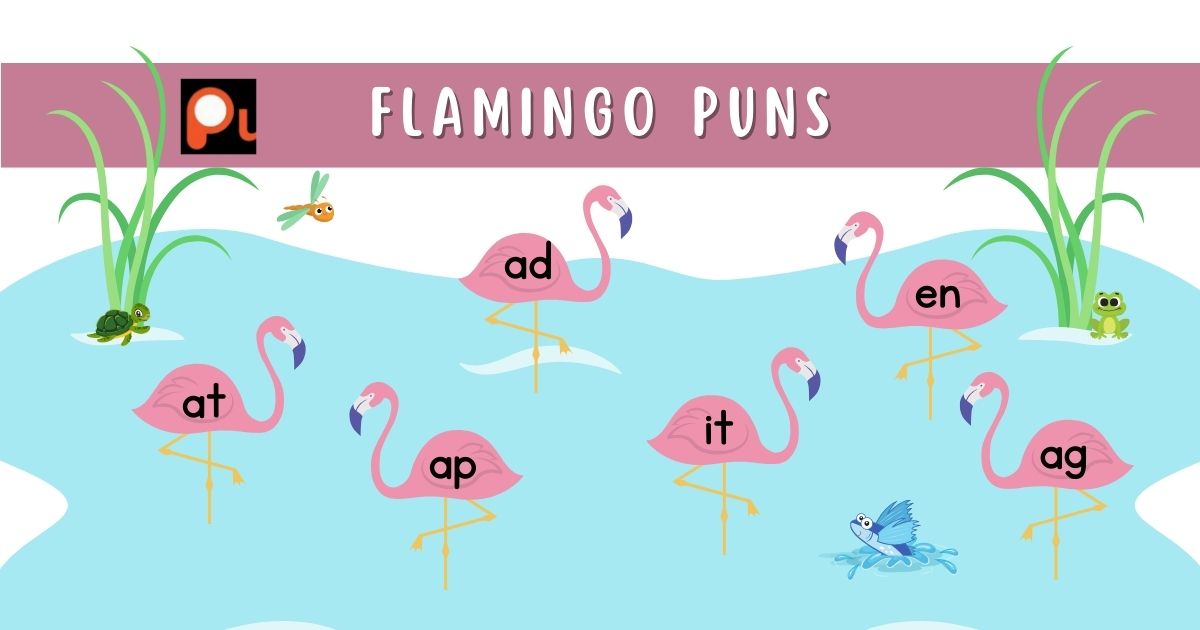 Flamingo Puns