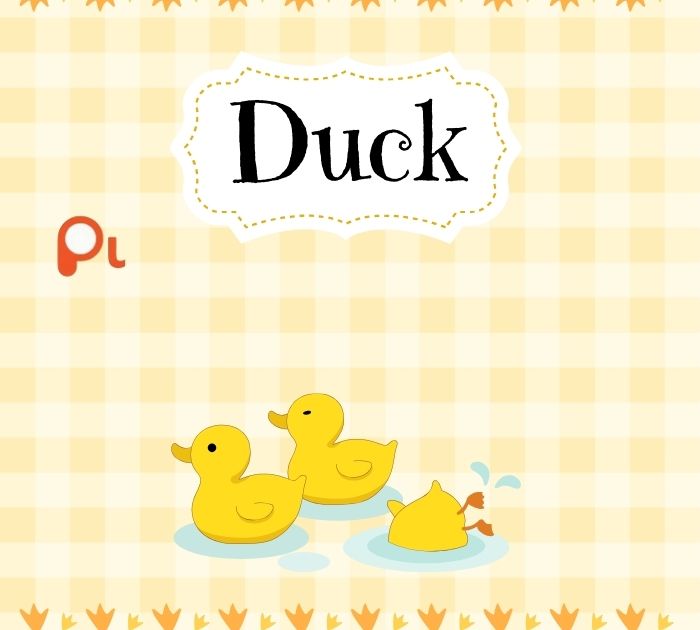 Funny Duck Puns Collection