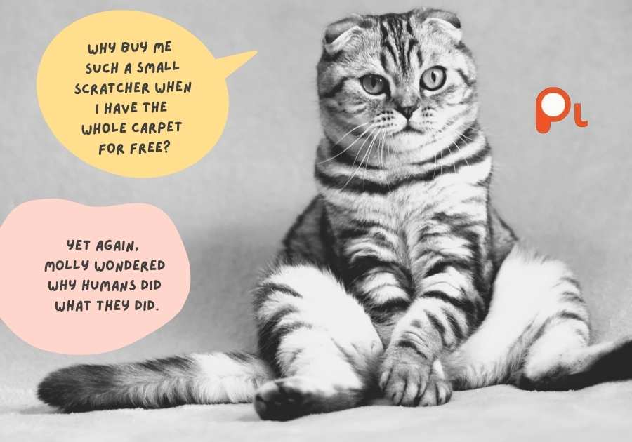 Animal Lovers Funny Sayings