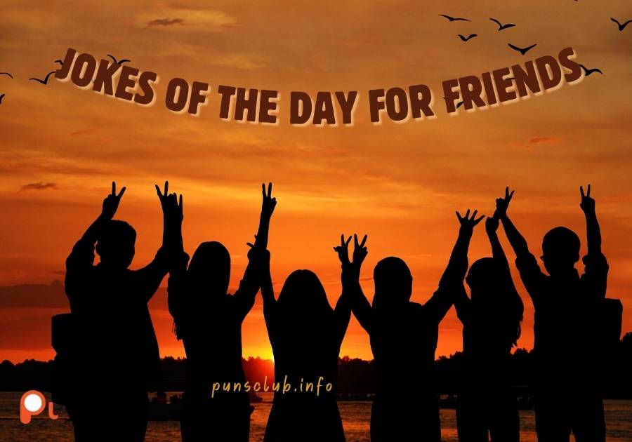 Jokes of the Day for Friends