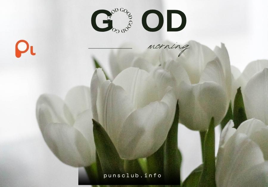 Laughing Morning Wishes