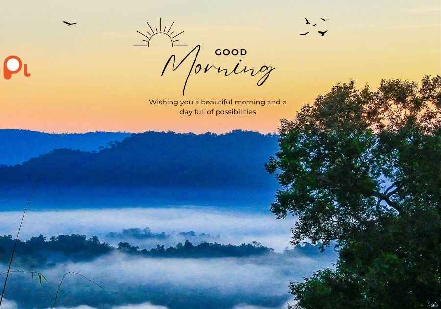 Morning Humor Quotes